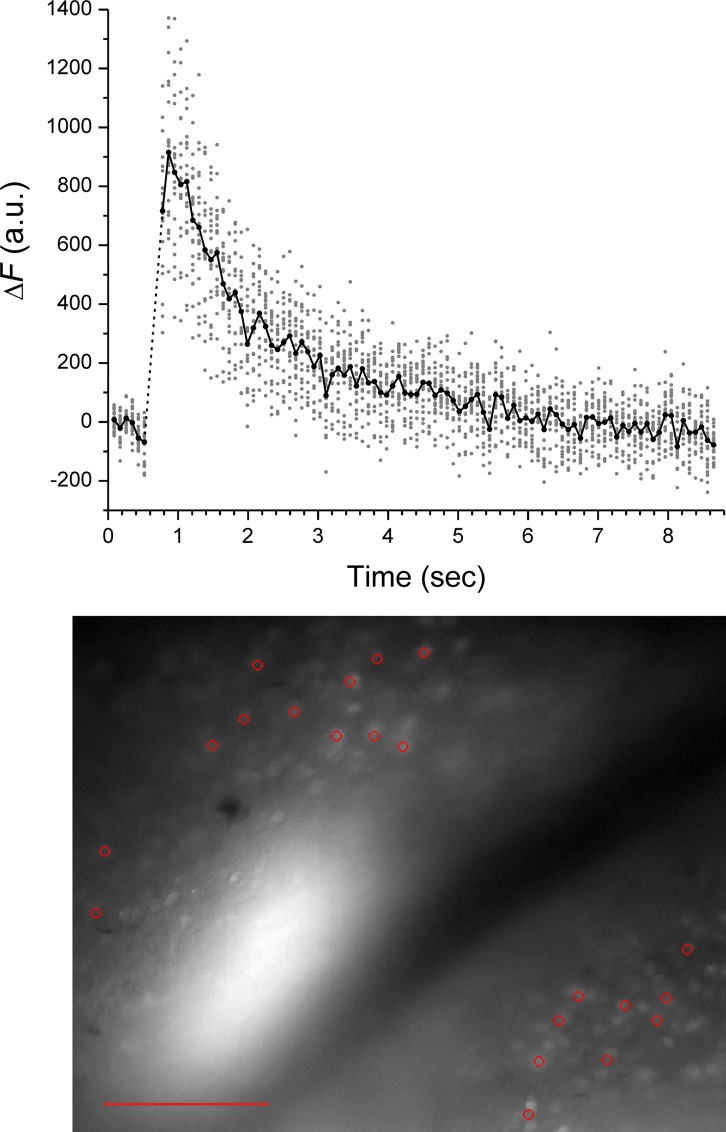 Fig 10