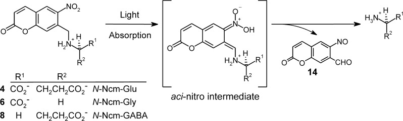 Fig 6