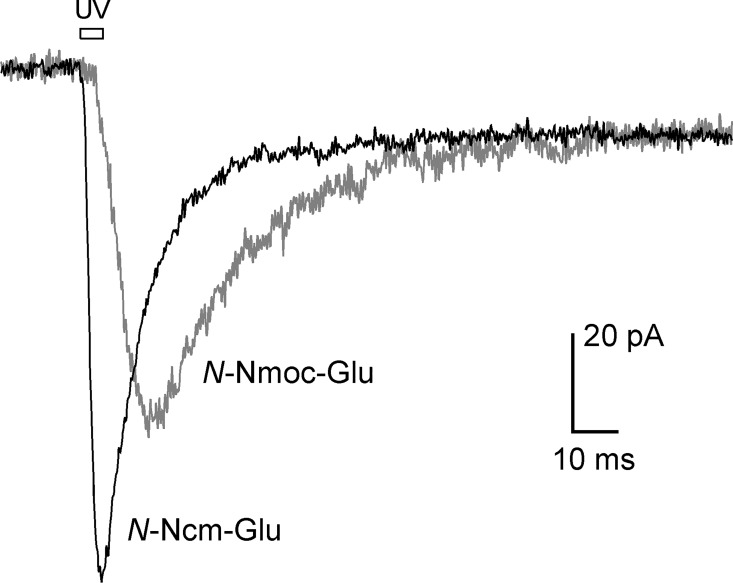 Fig 9