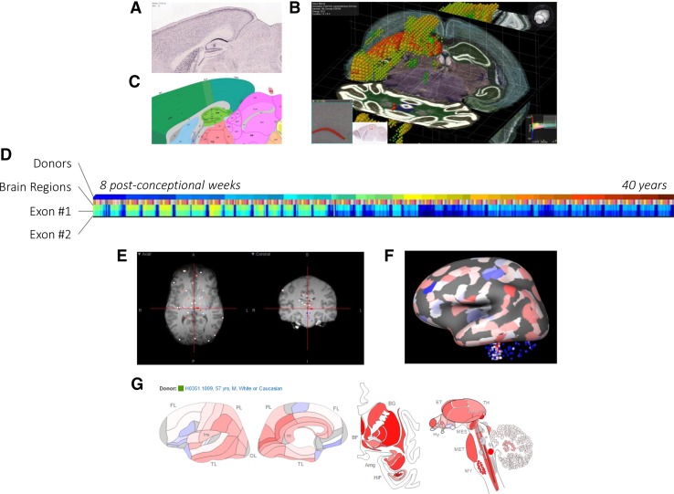 Fig. 2