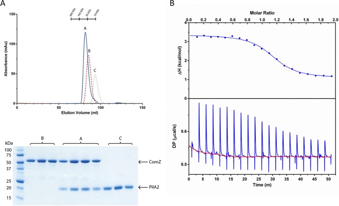 FIG 4