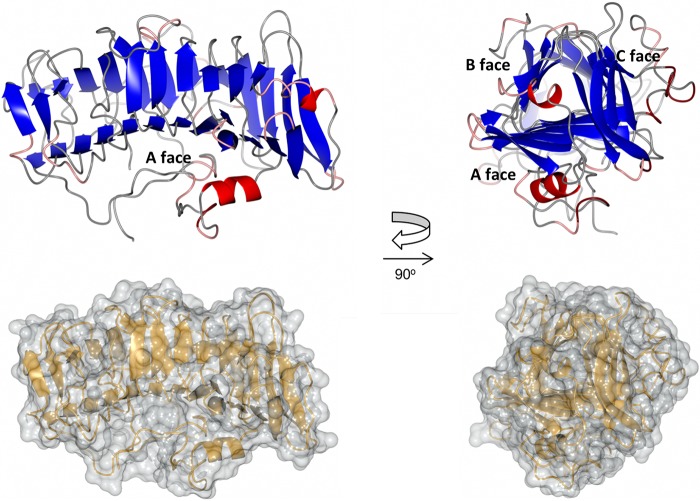 FIG 3