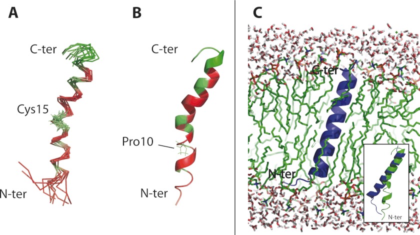 FIGURE 4.