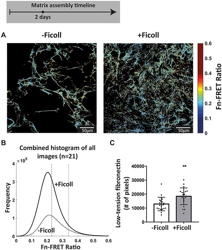 Figure 6: