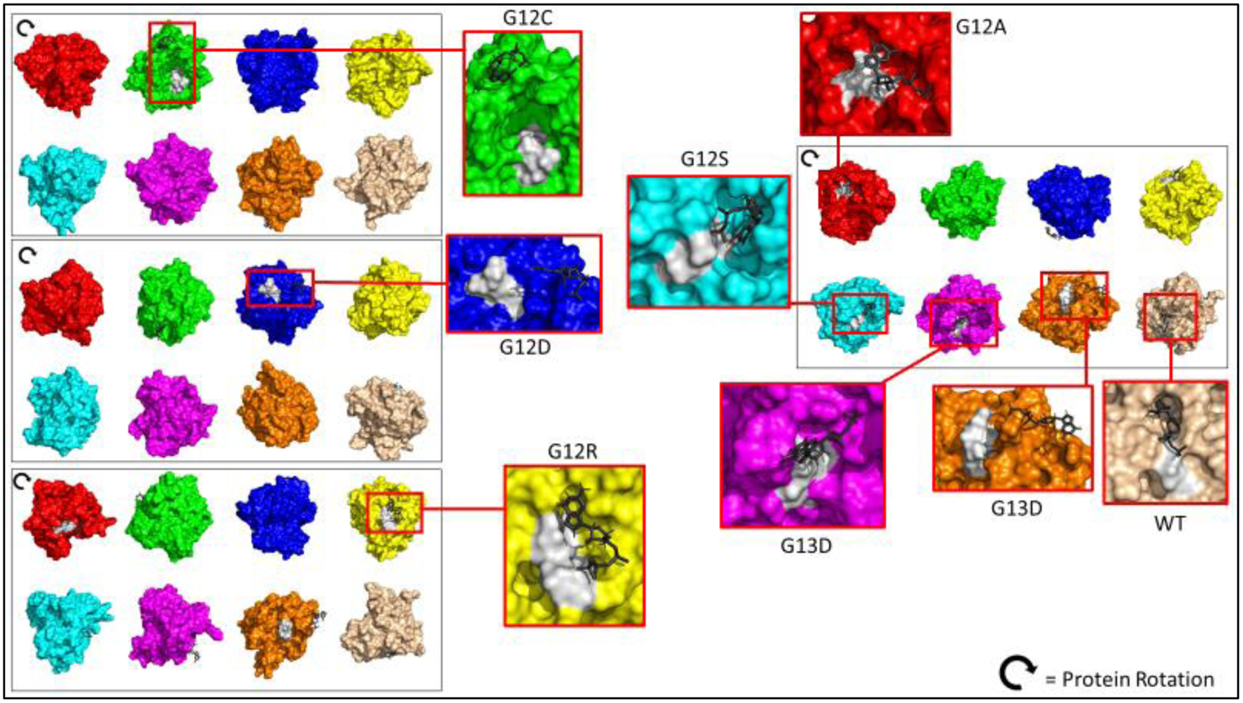 Figure 4b.