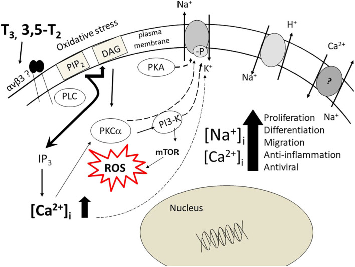 Figure 1