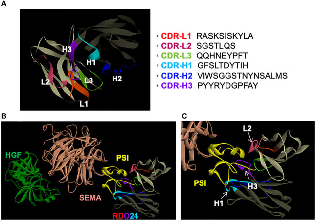 Figure 6