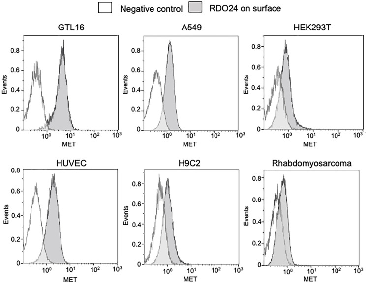 Figure 3