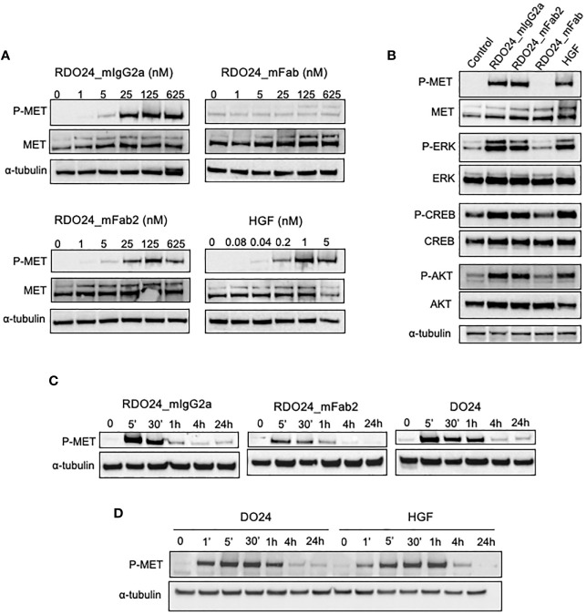 Figure 7