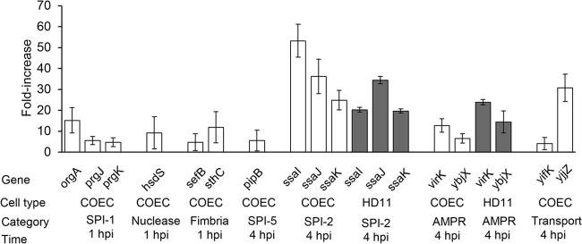 FIG 1