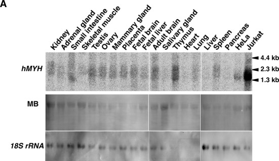 Figure 7.