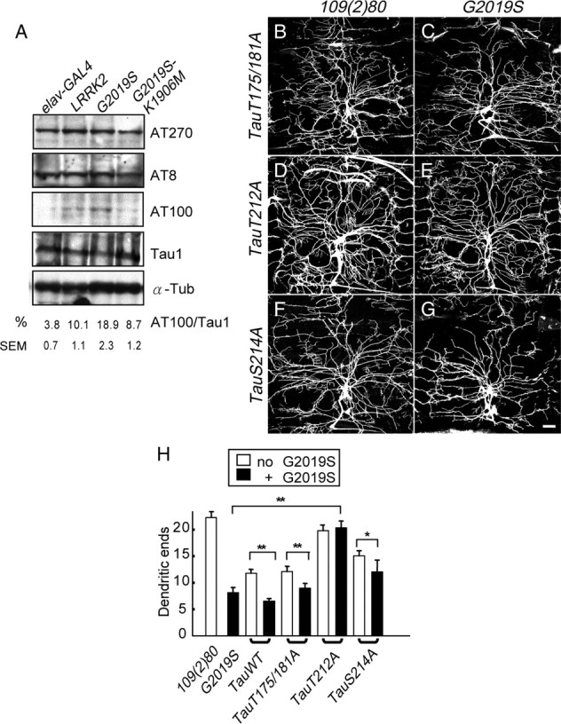 Figure 6.