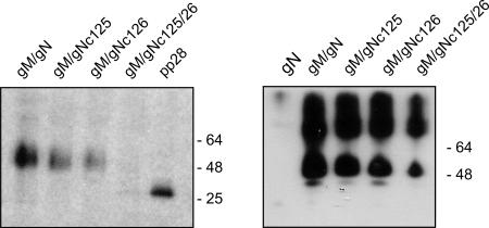 FIG. 9.