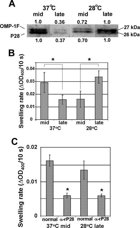 FIG. 7.