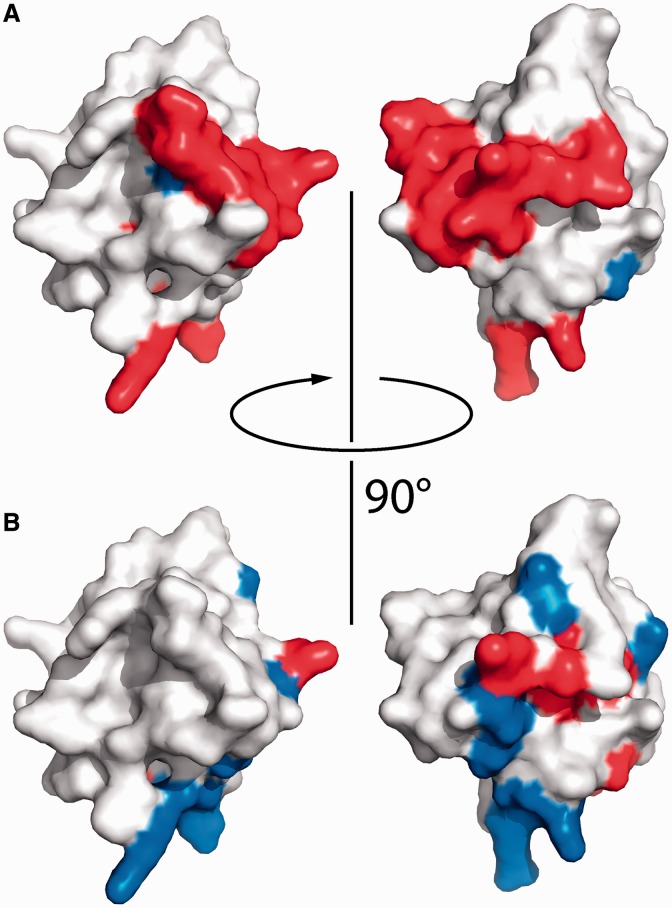 Figure 3.