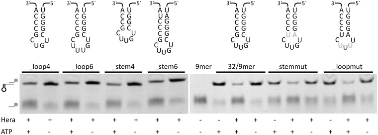 Figure 7.