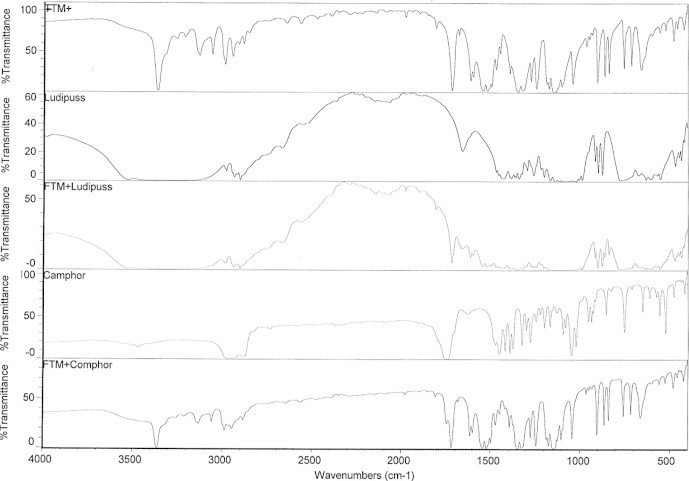 Figure 1a