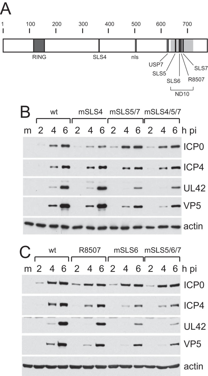 FIG 1