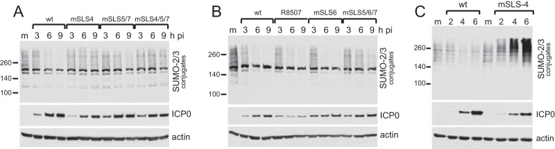 FIG 6