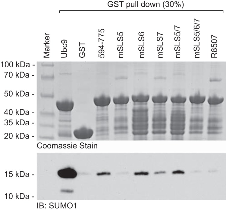 FIG 9