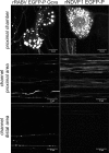 FIG 5