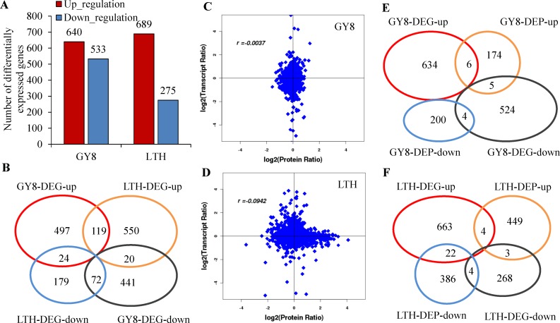 Fig 6