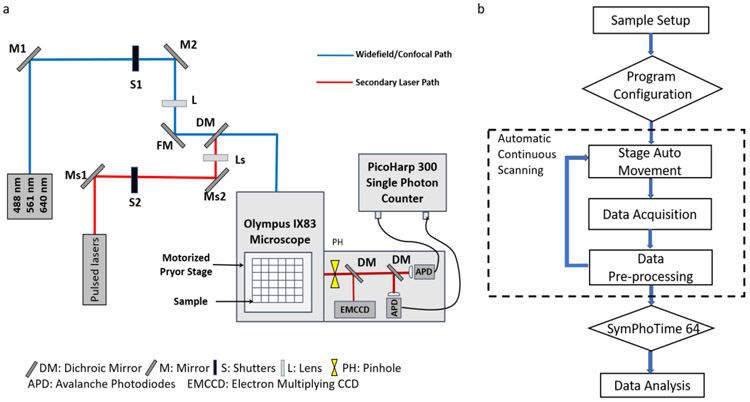 Figure 4.