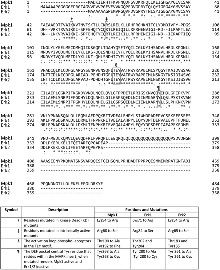 FIGURE 1: