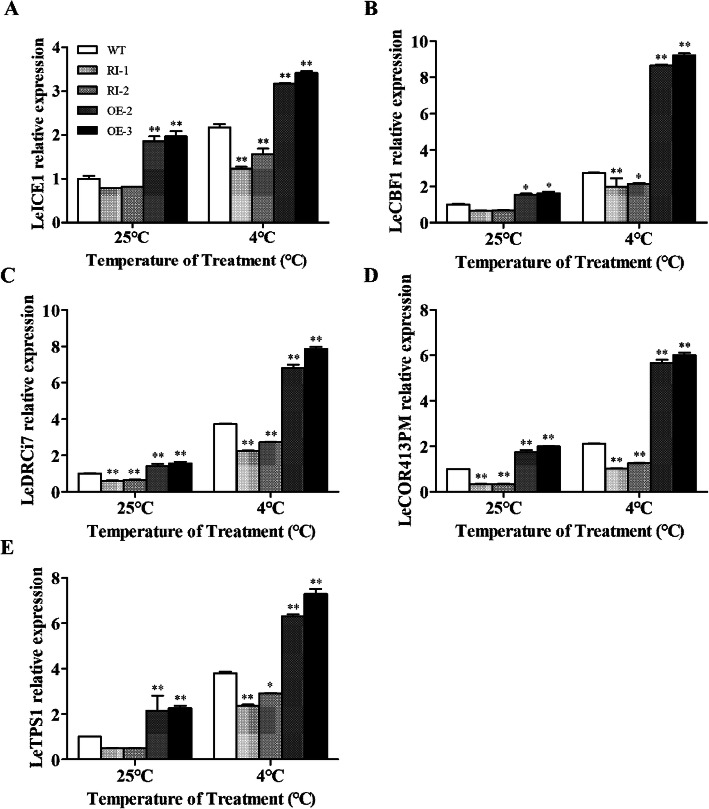 Fig. 11