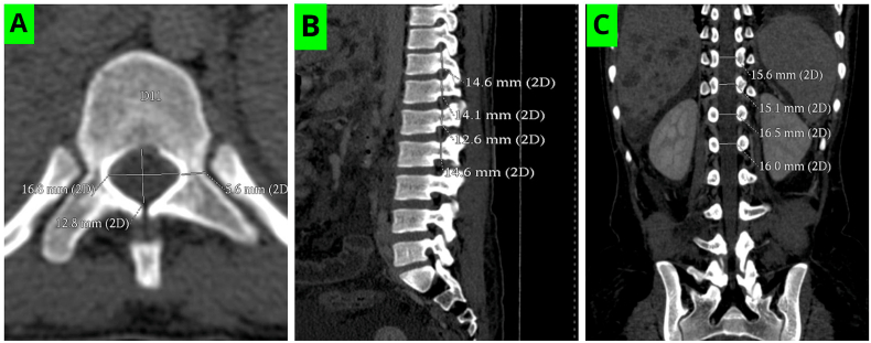 Fig. 6