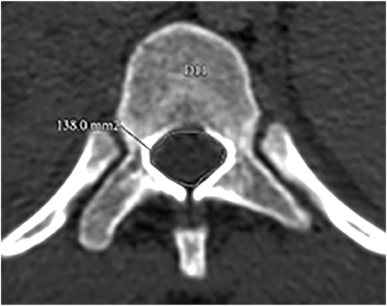 Fig. 5