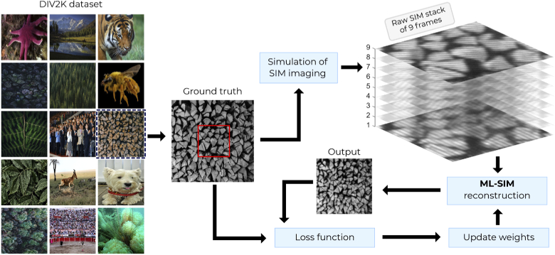 Fig. 1.