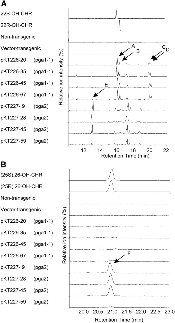 Figure 3.