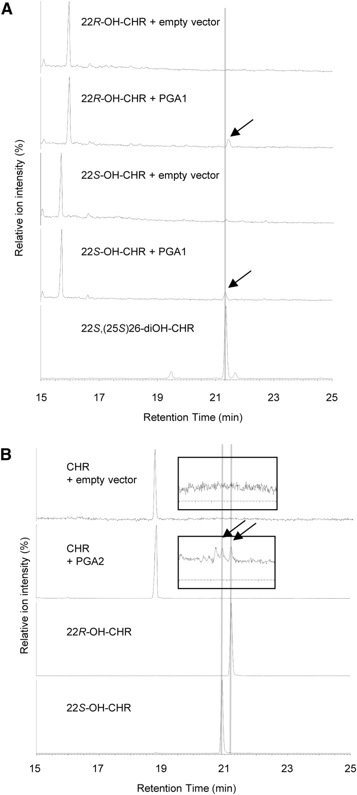 Figure 5.