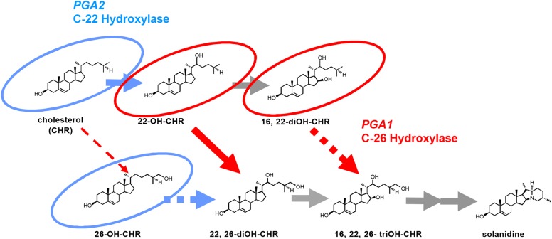 Figure 4.