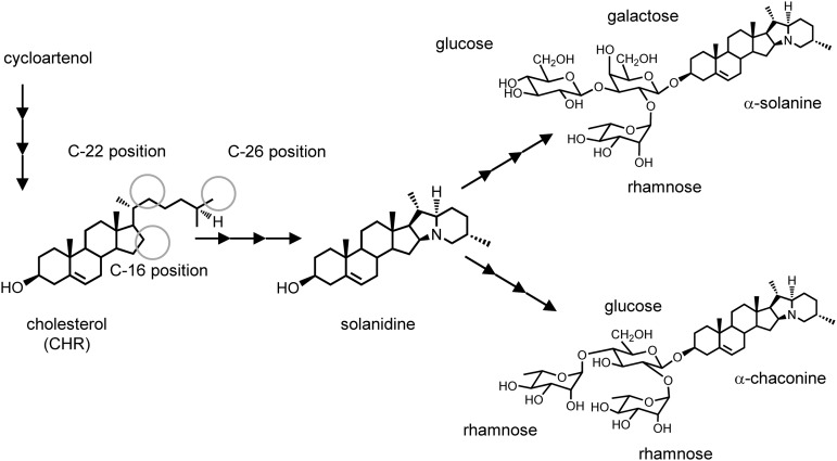 Figure 1.