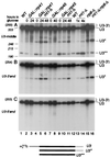 FIG. 7