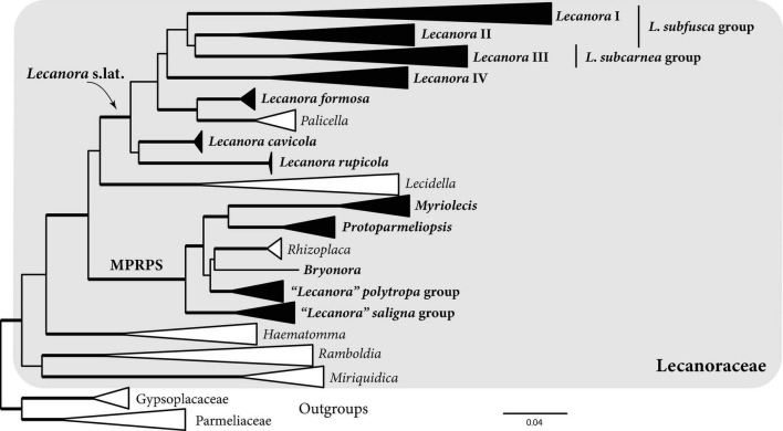 FIGURE 3