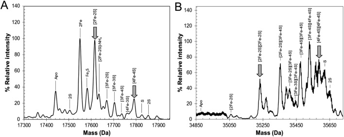 Fig. 5