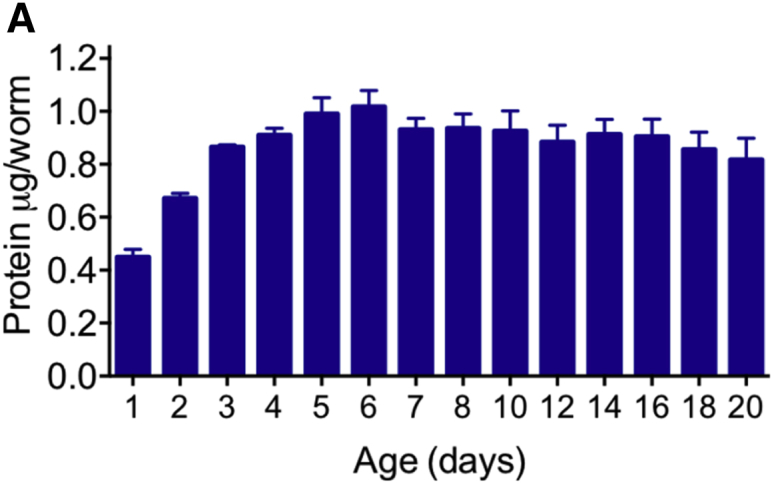 Figure 3A