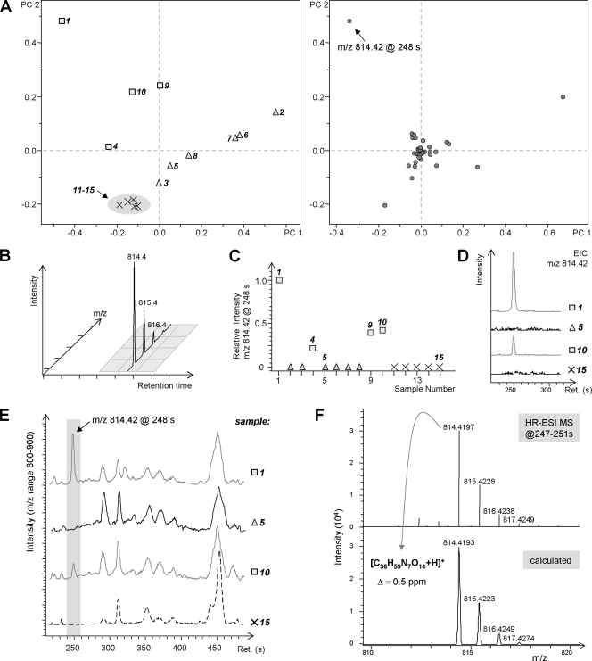 FIG. 2.