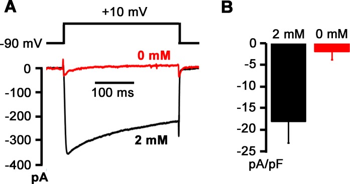 Fig 8