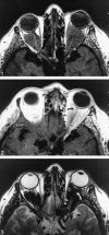 <sc>fig</sc> 1.
