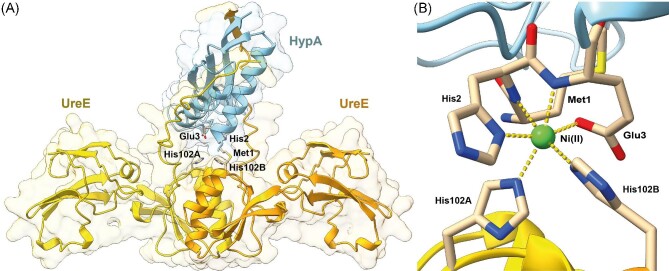 Fig. 10.