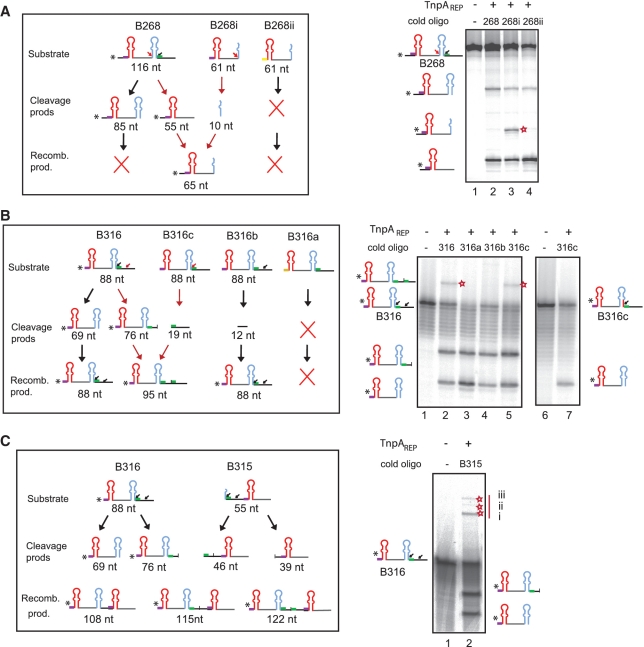 Figure 6.