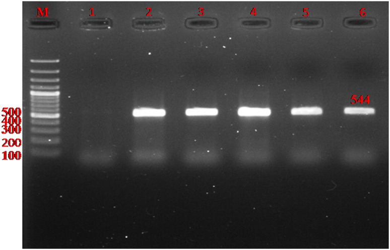 Fig. 2