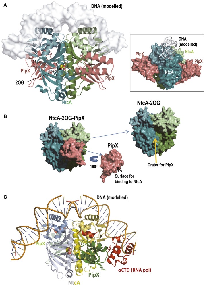 Figure 7