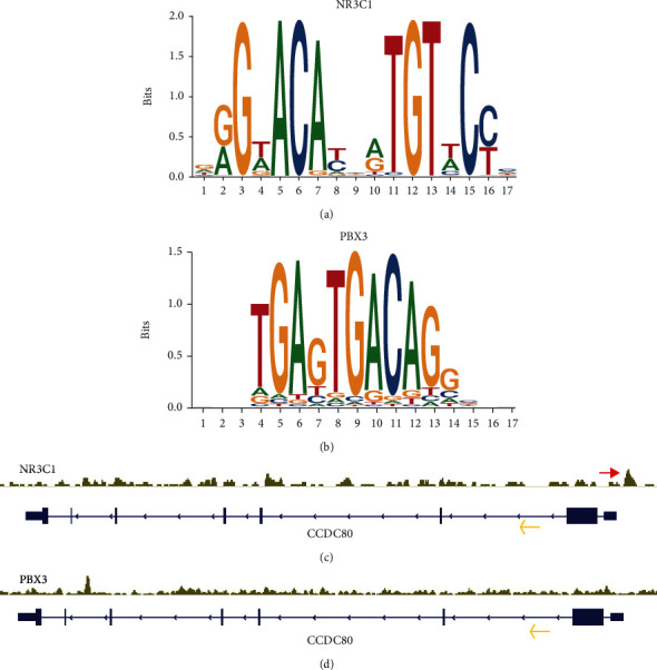 Figure 9