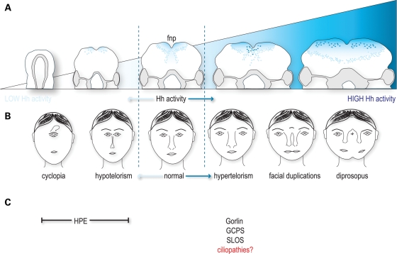 Figure 9.