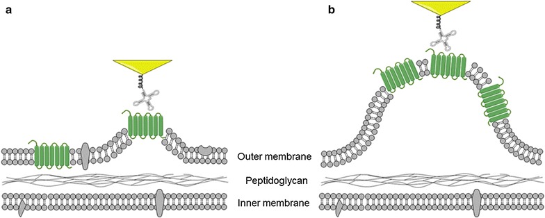 Fig. 7